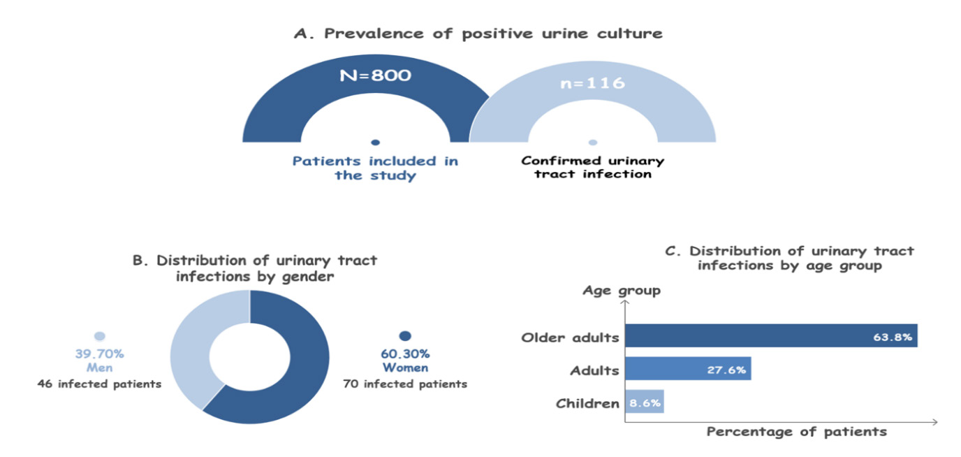 Figure 1. Demographic Characteristics of Patients.