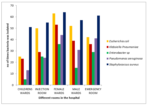 Figure 1: shows the bacteria with the highest occurrence and it was observed that S. aureus had the highest occurrence in this study, and this was followed by Escherichia coli, then klebsiella pneumoniae and Pseudomonas aeruginosa while the least was Enterobacter species, in all the rooms in both…