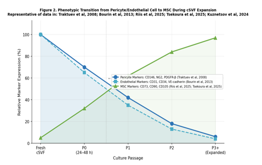 Figure 2: Approximate cellular composition of freshly isolated adipose-derived stromal vascular fraction (AD-SVF). CD34+/ CD31− pericyte-like adipose stromal cells constitute the dominant nucleated population (~55–65%), a proportion repeatedly confirmed across flow cytometry and scRNA-seq charact…