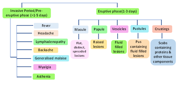 Figure 8: Clinical manife stations of MPXV